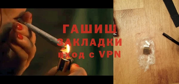 стаф Новозыбков