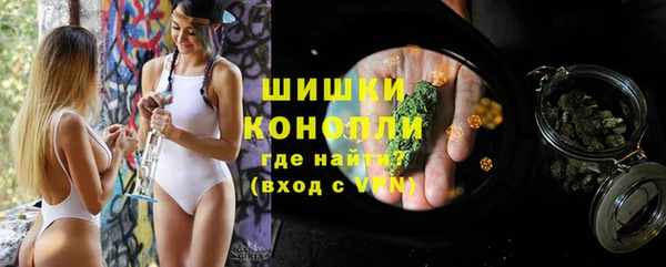 молекула духа Новодвинск